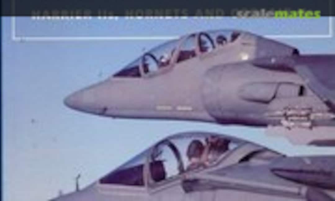 Light Strike (Osprey Publications ) Light Strike (Osprey Publications )