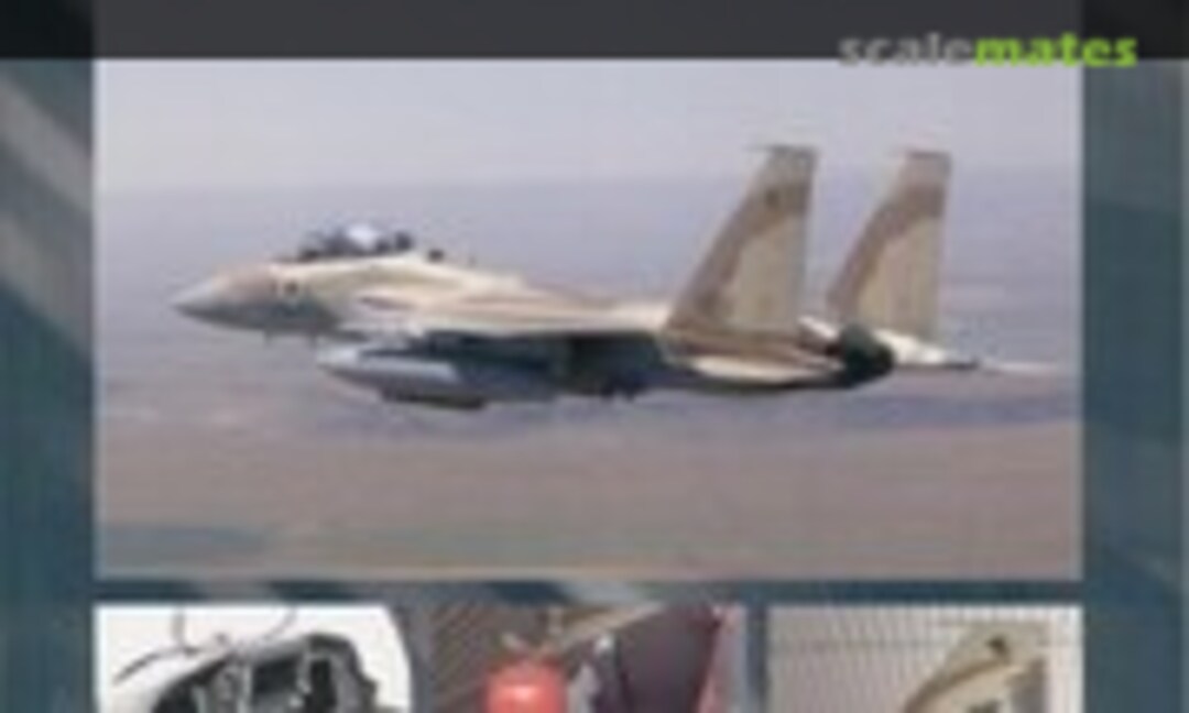 F-15I Ra'am in IAF service (IsraDecal Studio 2)