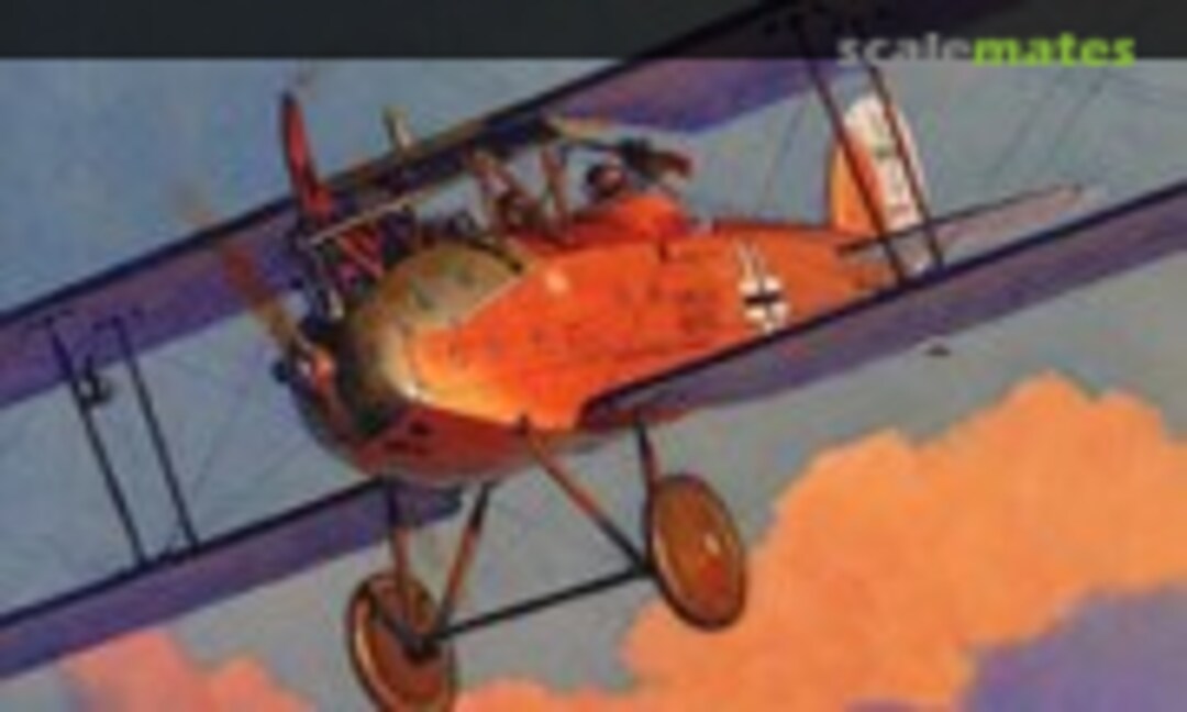LVG Aircraft of WWI (Aeronaut Books 36)