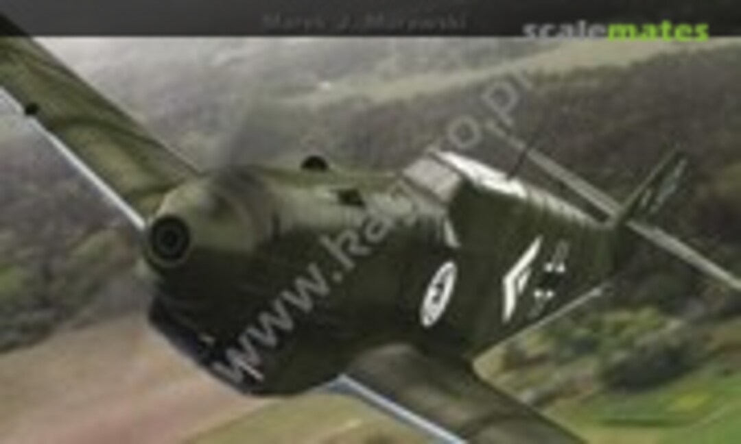 Messerschmitt Bf 109 C/D (Kagero 13)