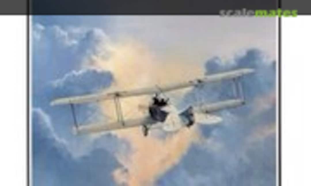 The LVG C.II (Albatros Productions 106) The LVG C.II (Albatros Productions 106)