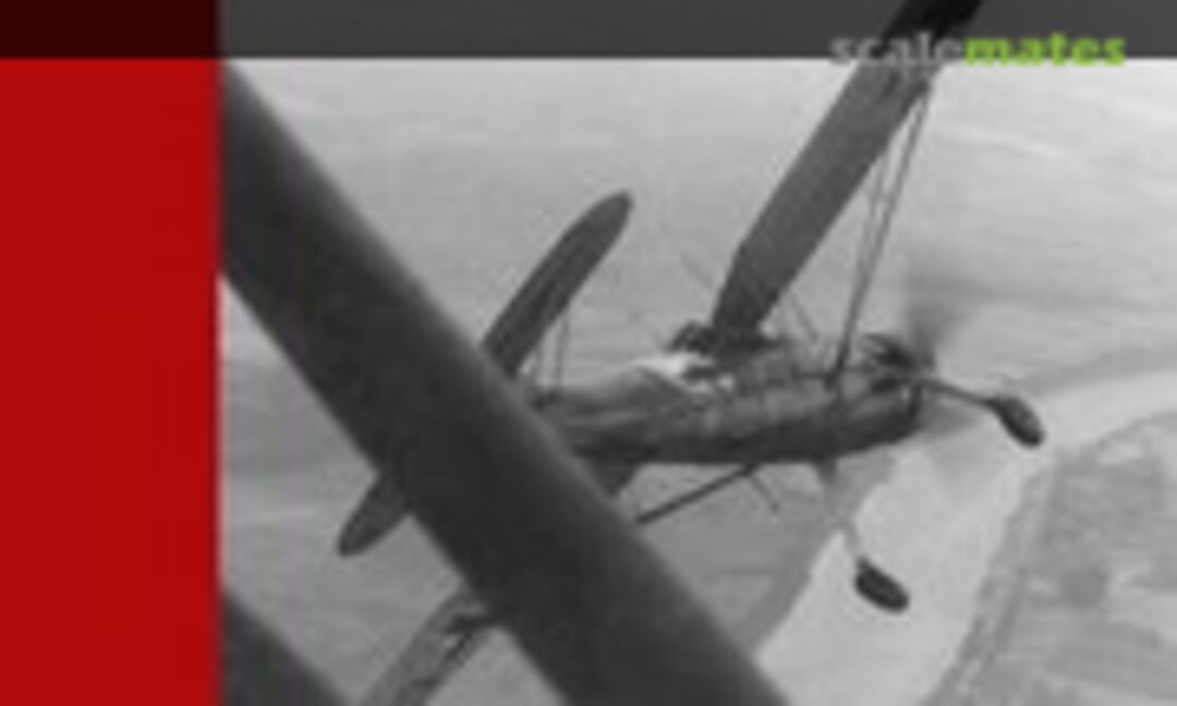 Luftwaffe im Focus (Luftfahrtverlag Start 28)