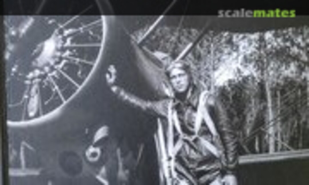 Delfín (Escuadra 7 ) Delfín (Escuadra 7 )