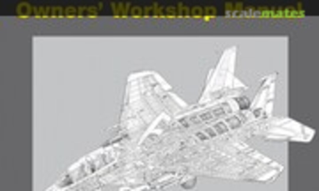 McDonnell Douglas/Boeing F-15 Eagle (Haynes )