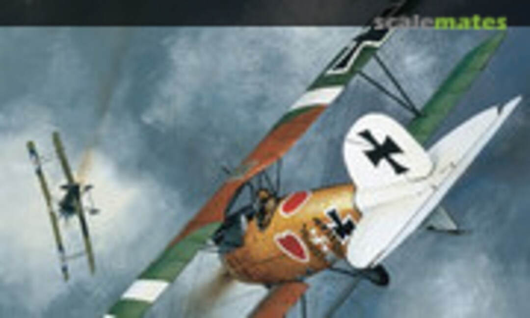 Albatros Aces of World War 1 (Osprey Publications 32) Albatros Aces of World War 1 (Osprey Publications 32)