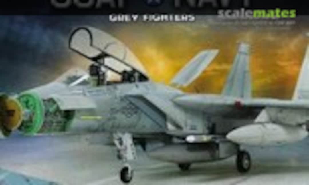 How to Paint USAF NAVY Grey Fighters (Ammo by Mig Jimenez 6) How to Paint USAF NAVY Grey Fighters (Ammo by Mig Jimenez 6)
