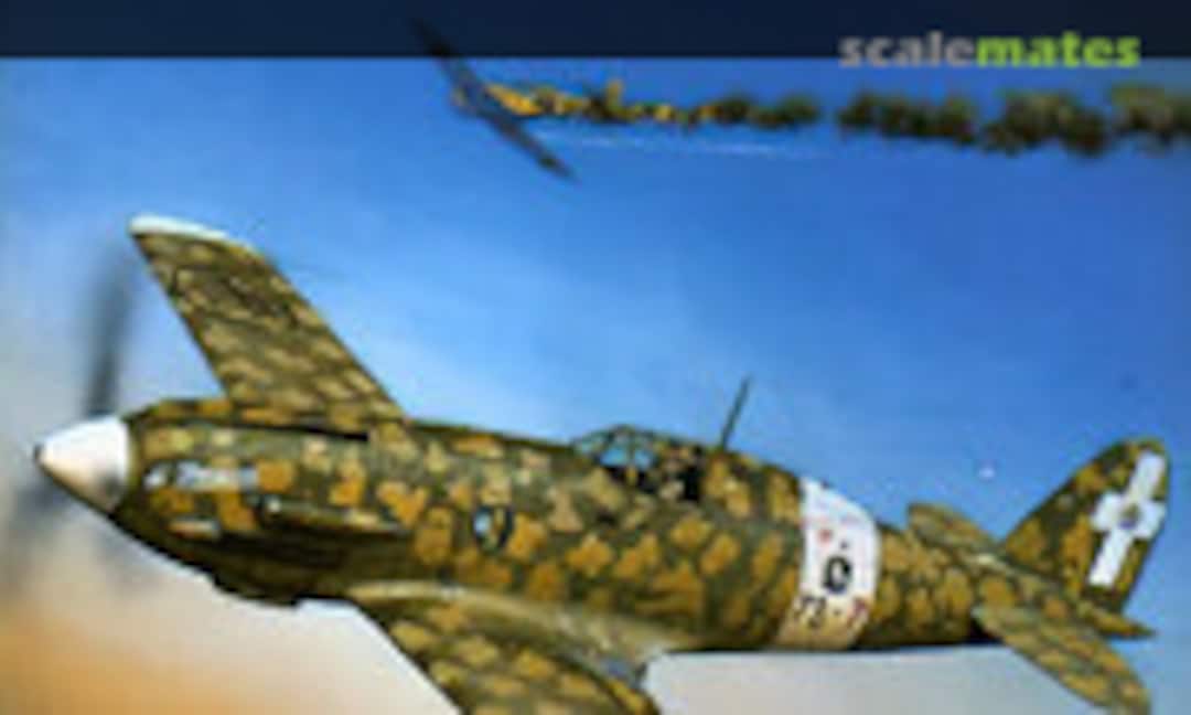 Italian Aces of World War 2 (Osprey Aviation / del Prado 42) Italian Aces of World War 2 (Osprey Aviation / del Prado 42)