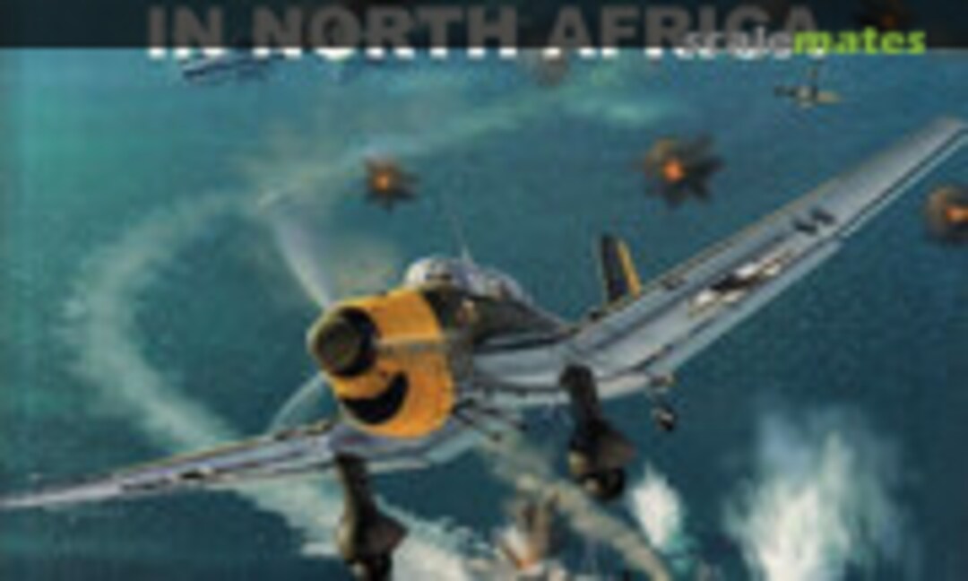 Luftwaffe Squadrons in North Africa (Osprey Aviation / del Prado 28)