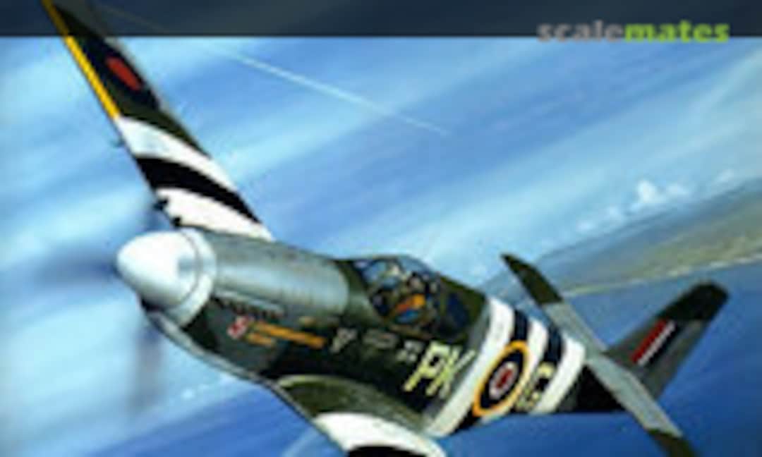 Polish Fighters of World War 2 (Osprey Aviation / del Prado 15) Polish Fighters of World War 2 (Osprey Aviation / del Prado 15)