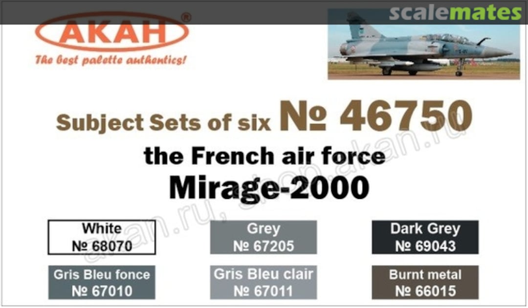 Boxart French Air Force: Mirage 2000  Akan