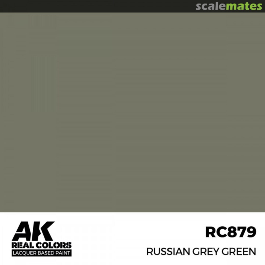 Boxart Russian Grey Green  AK Real Colors