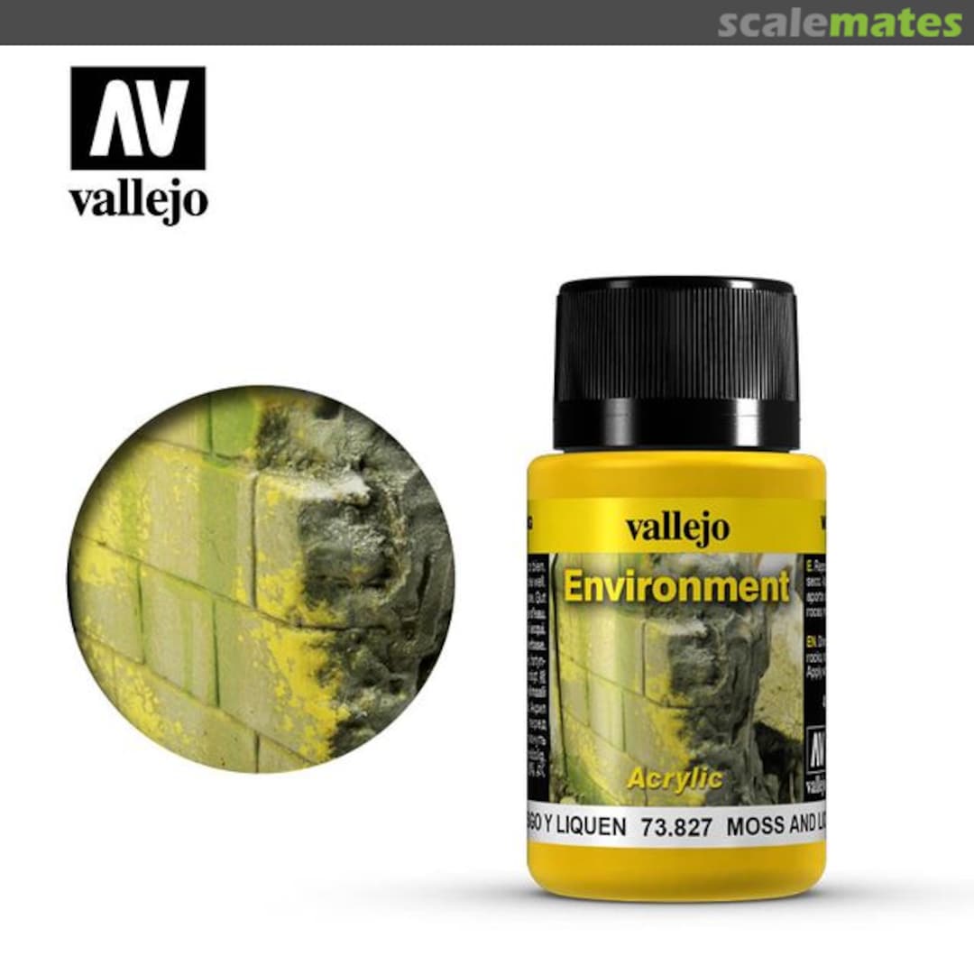 Boxart Moss and Lichen Effects  Vallejo Weathering Effects