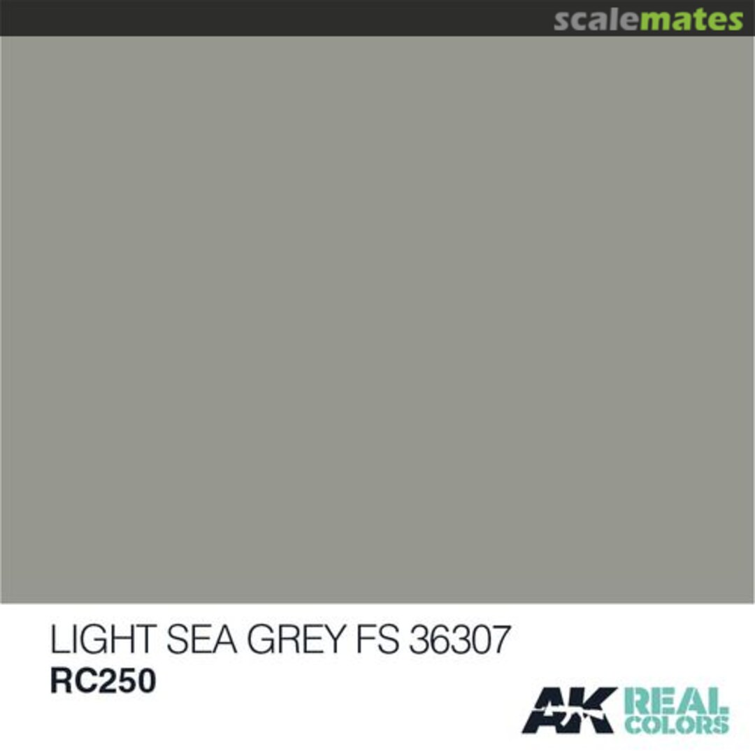 Boxart Light Sea Grey FS 36307 AK Real Colors Boxart Light Sea Grey FS 36307 AK Real Colors