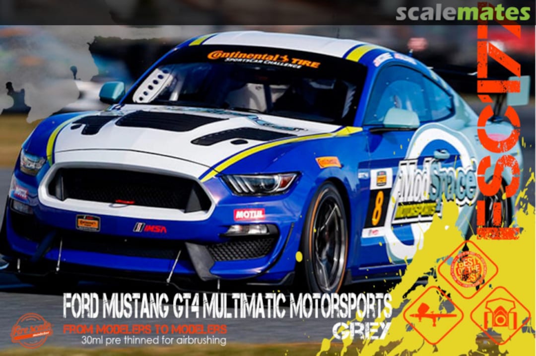 Boxart Ford Mustang GT4 Multimatic Motorsports Gray  Fire Scale Colors