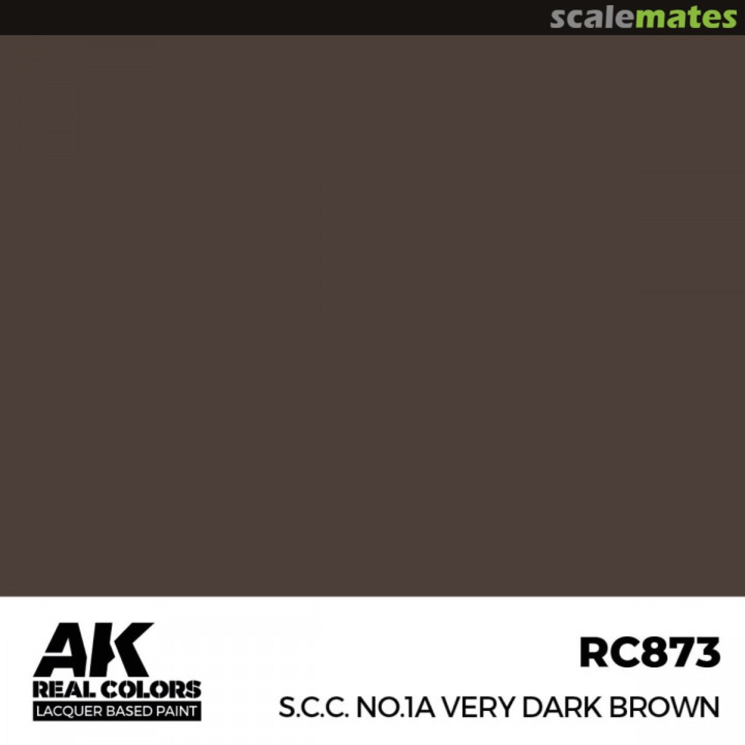 Boxart Very Dark Brown RC873 AK Real Colors
