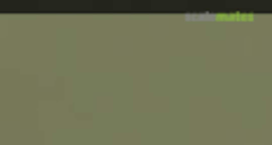 Boxart Fahlgrun N-8651 Peewit Authentic Camouflage Colors Boxart Fahlgrun N-8651 Peewit Authentic Camouflage Colors