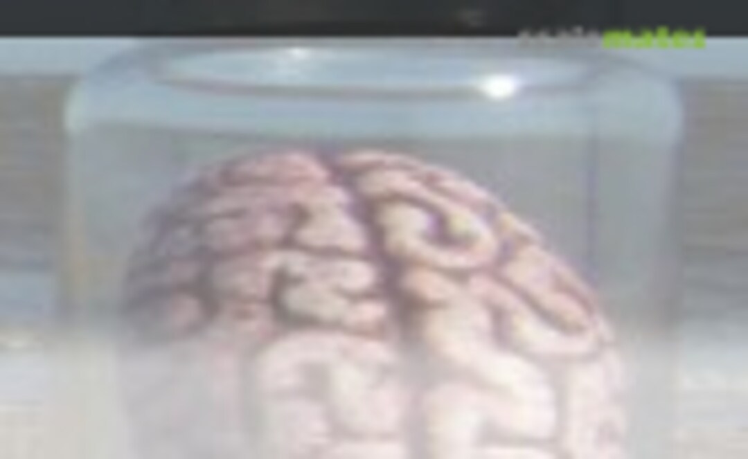 1:32 Spitfire Mk.PR.IV/IF Enlarged Chin (Grey Matter Aviation GMAA3231) GMAA3231