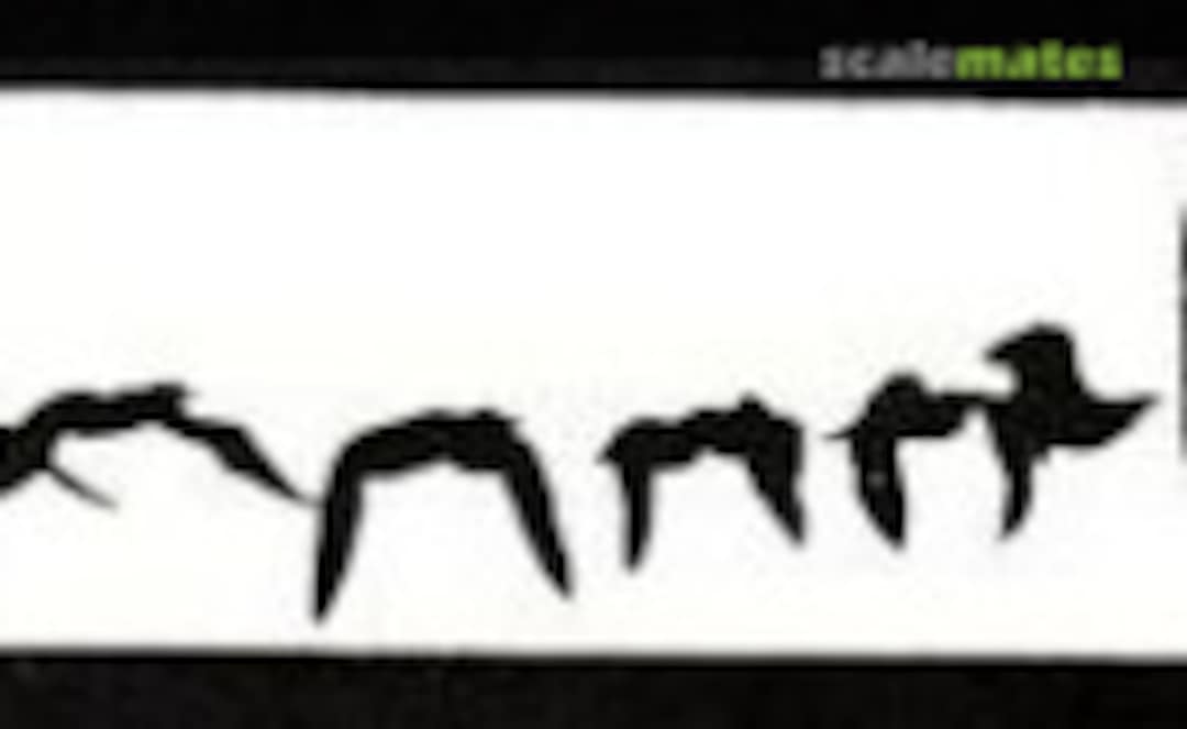 1:48 Macchi MC-202 (Gull Models 4802) 4802