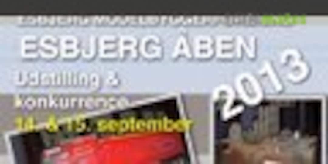 Esbjerg Open 2013 in Esbjerg