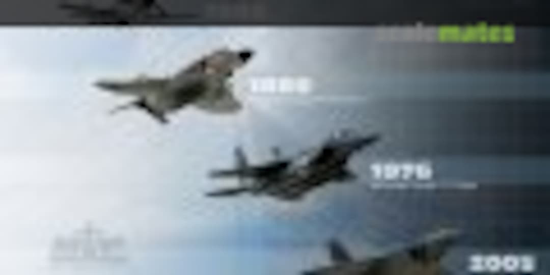 Modern Fighter Aircraft Groupbuild. in