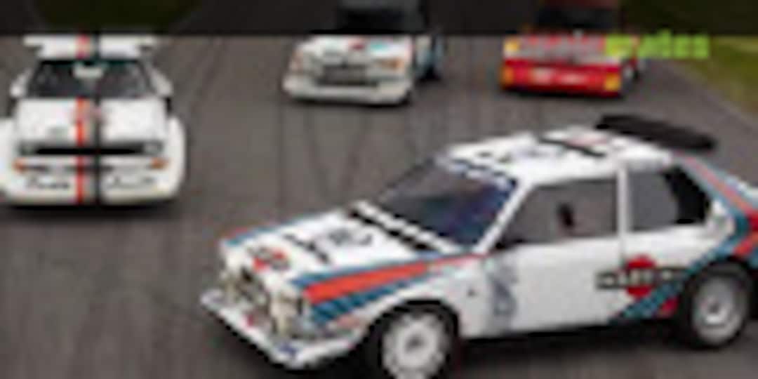 Group B rally in The Hague