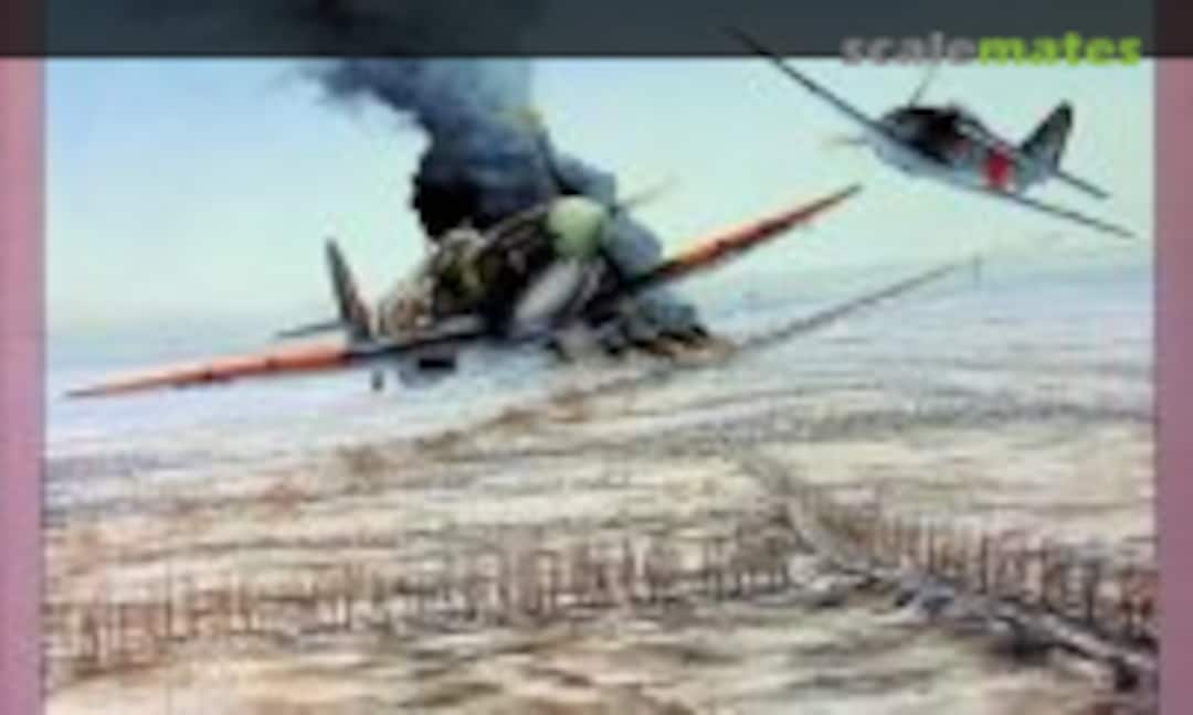 (Lotnictwo z Szachownicą 39) (Lotnictwo z Szachownicą 39)