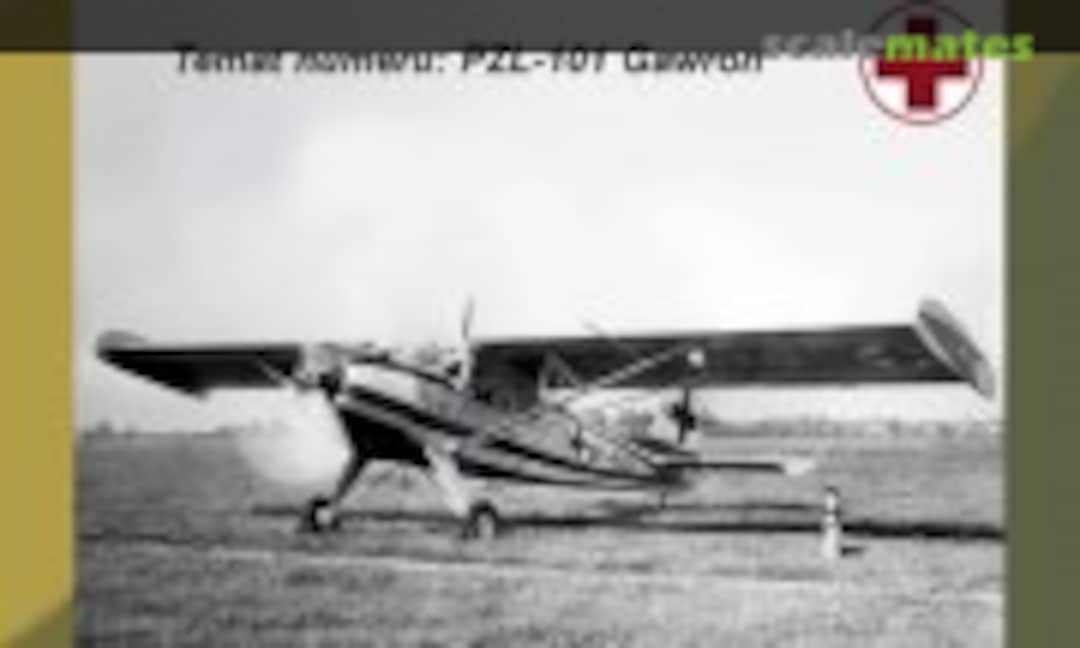 (mini REPLIKA 80) (mini REPLIKA 80)