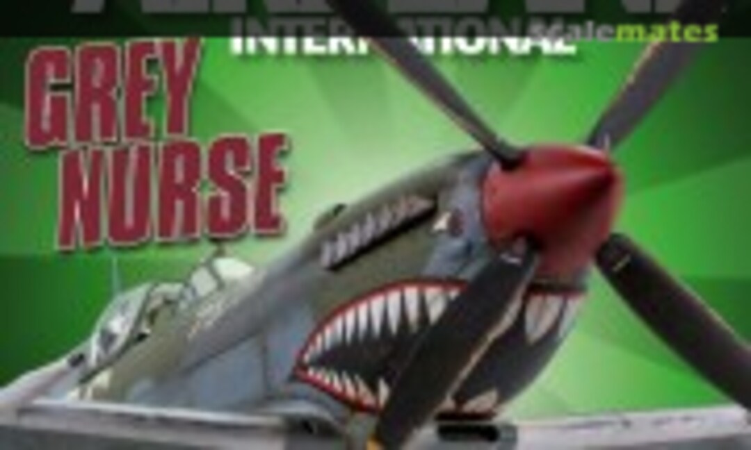 (Model Airplane International 240)