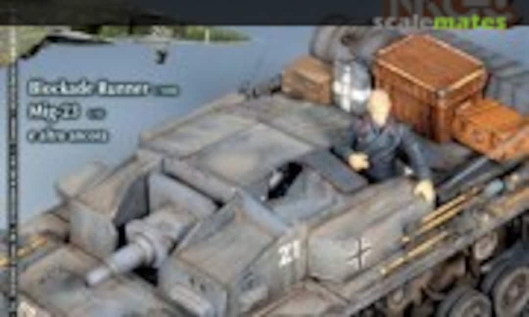 (Model Time 295) (Model Time 295)