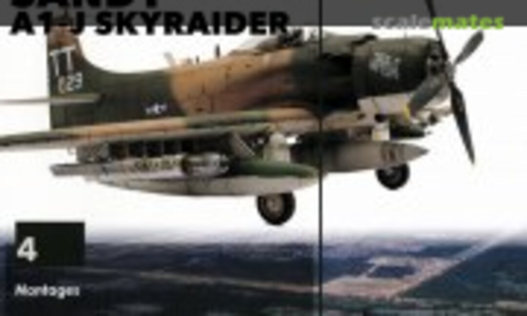 (Cocardes INTERNATIONAL #23)