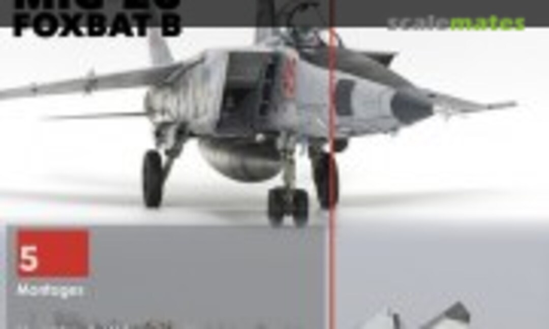 (Cocardes INTERNATIONAL #21)