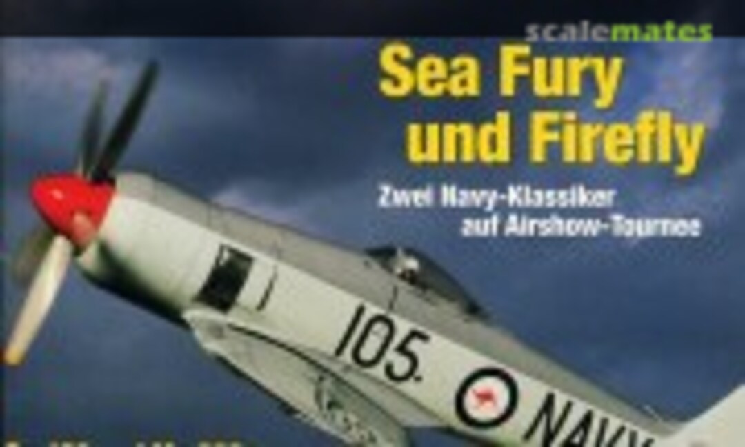 (Flugzeug Classic 3)