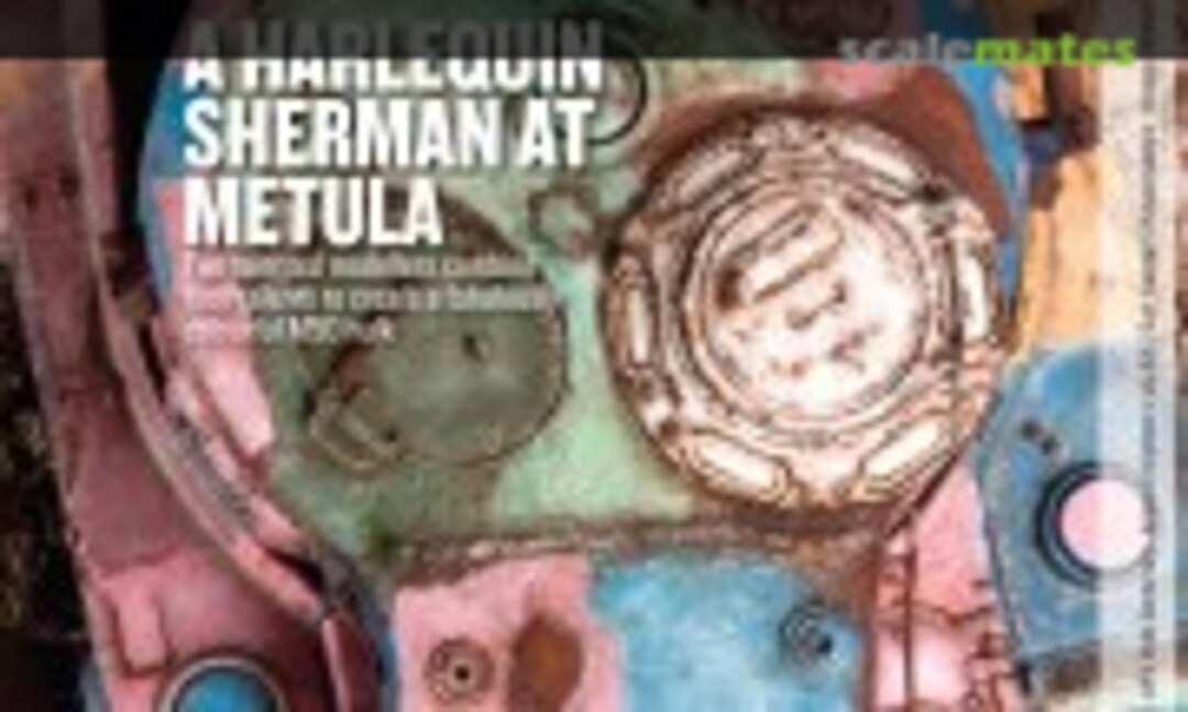 (Military Illustrated Modeller 14)