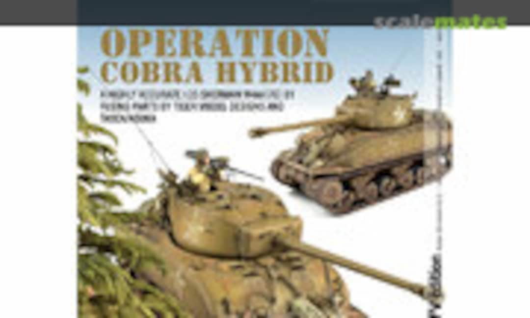 (Military Illustrated Modeller 50)