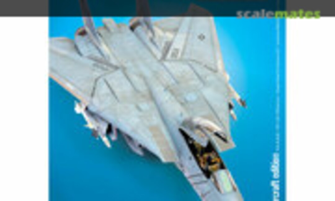 (Military Illustrated Modeller 67)