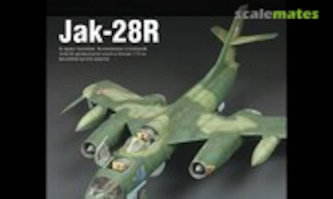 (Pro Model 2007/1) (Pro Model 2007/1)