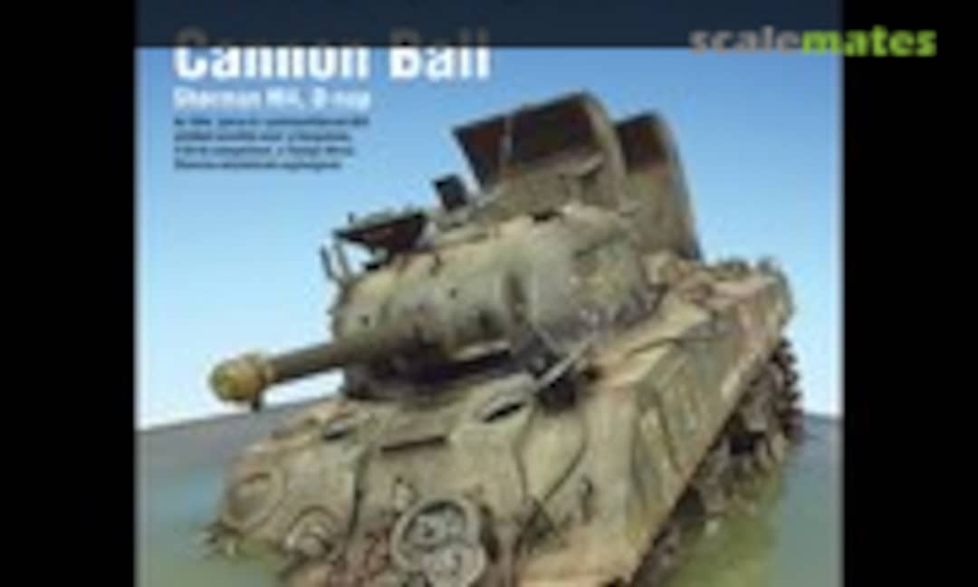 (Pro Model 2009/3) (Pro Model 2009/3)