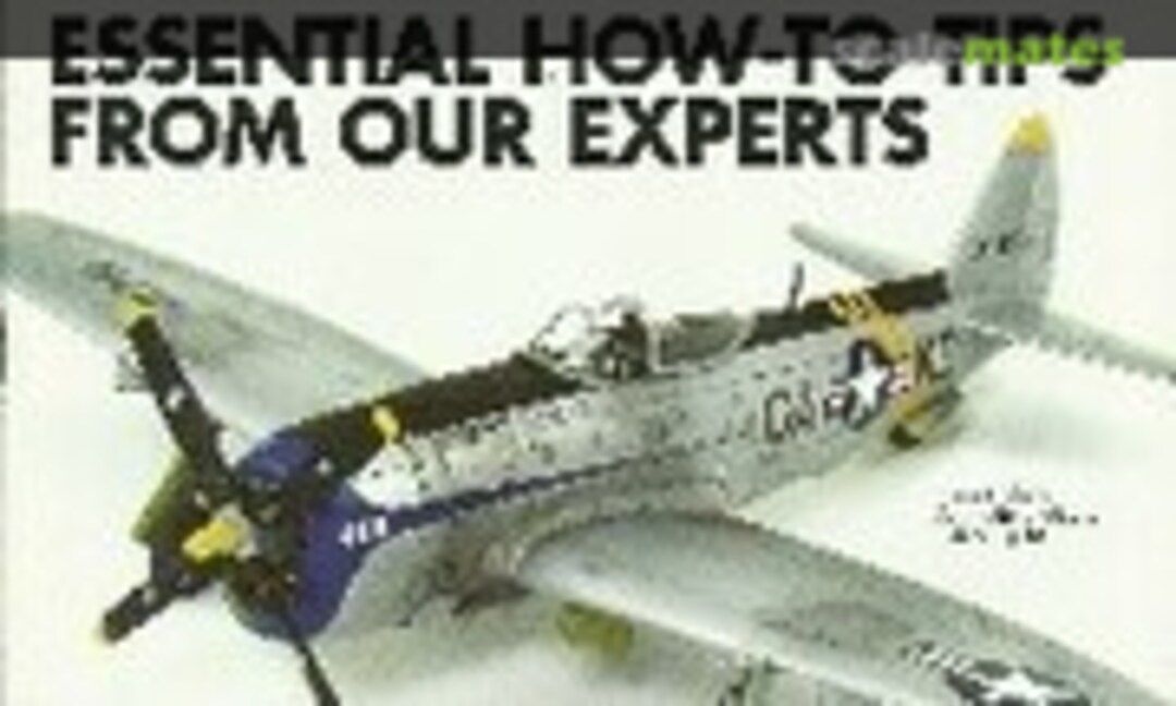 (FineScale Modeler Build Better Models 2)