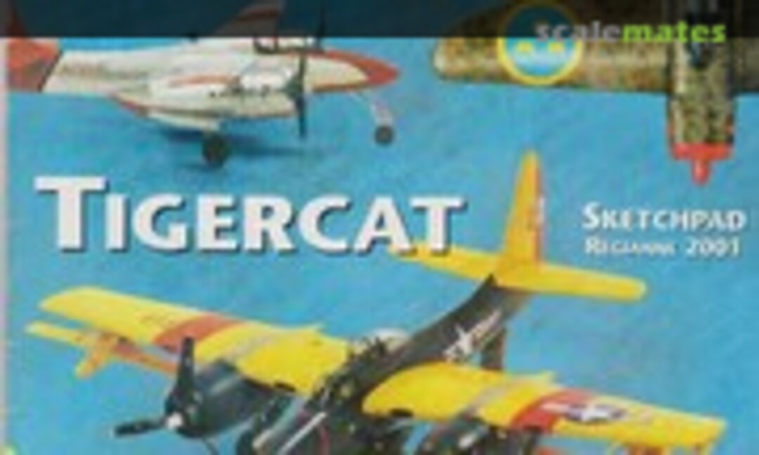 (Scale Aviation Modeller International Volume 03 Issue 06) (Scale Aviation Modeller International Volume 03 Issue 06)
