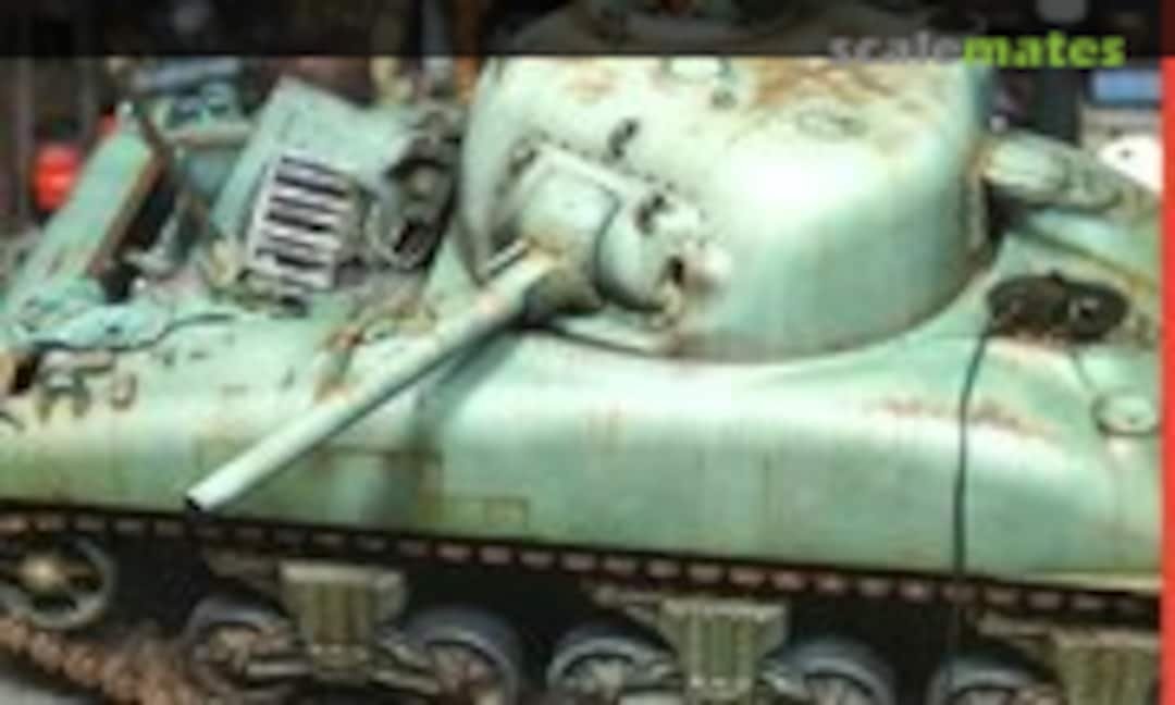 (Military In Scale 206) (Military In Scale 206)