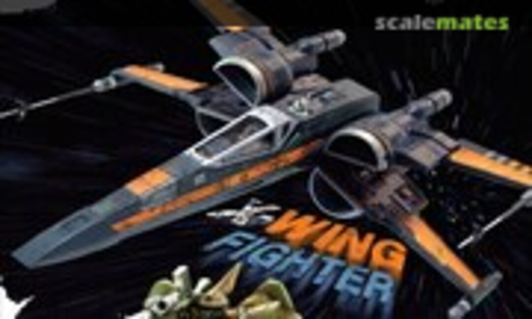 (Damaged Spring 2019) (Damaged Spring 2019)