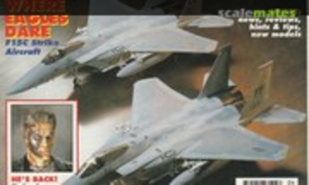 (Tamiya Model Magazine 29)