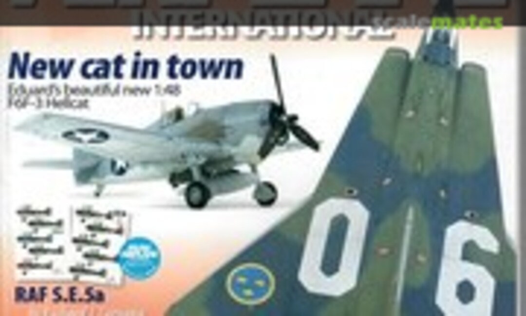 (Model Airplane International 37)