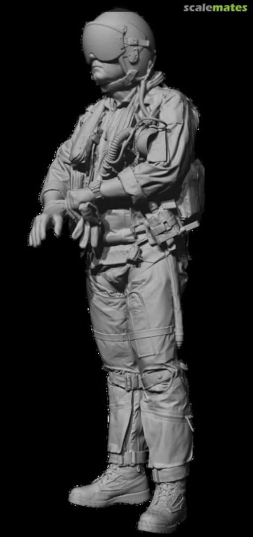 Boxart US Navy modern fighter pilot standing 2, pulling gloves, visor down, with leg garters 480263 Reedoak Boxart US Navy modern fighter pilot standing 2, pulling gloves, visor down, with leg garters 480263 Reedoak