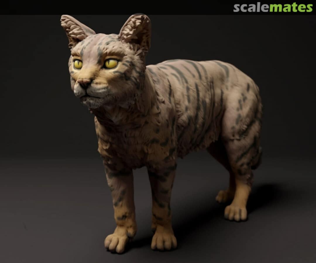 Boxart Scottish Wildcat - standing 35130412 EMP3d Boxart Scottish Wildcat - standing 35130412 EMP3d
