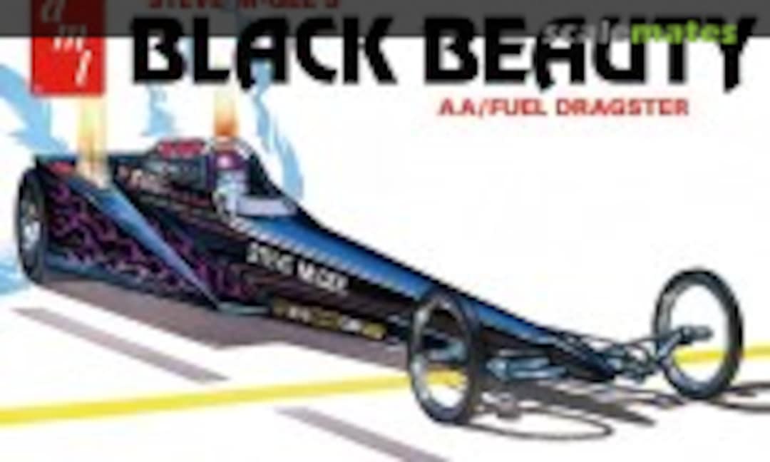 1:25 Steve McGee's Black Beauty (AMT 1214)