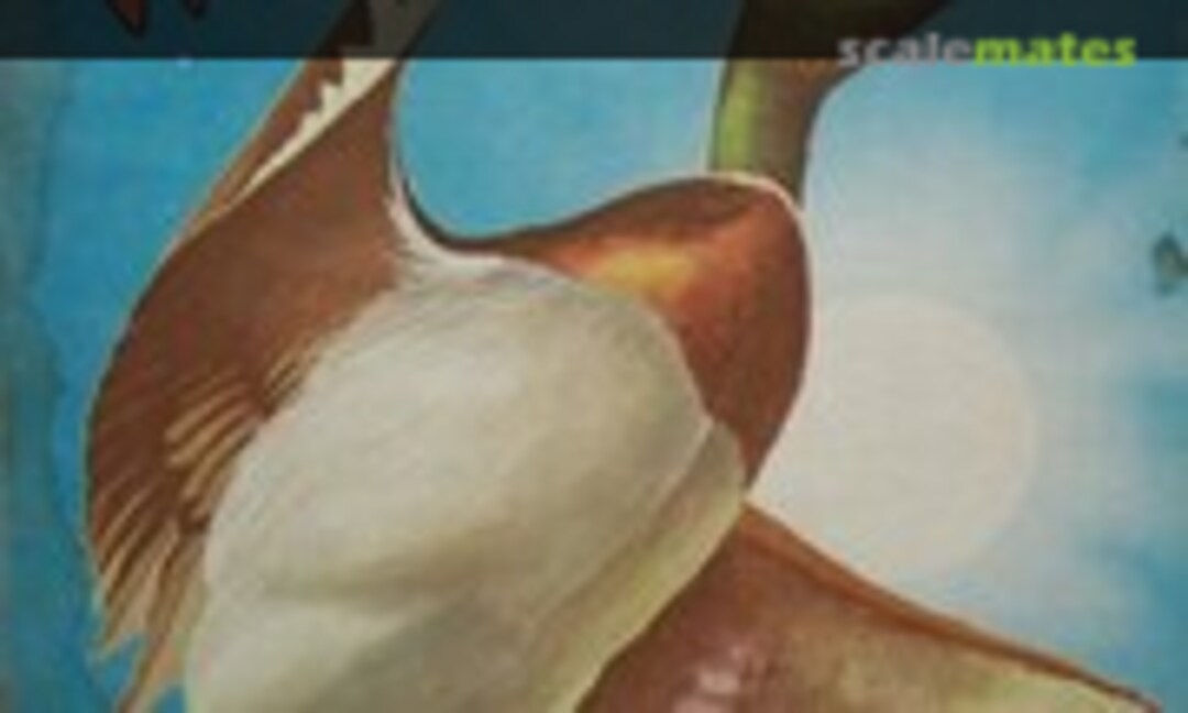 No Mallard Duck (LIFE-LIKE Hobby Kits 09352)