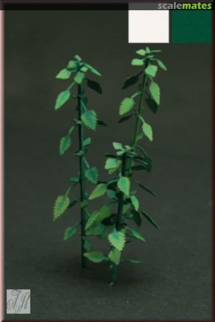 Boxart Nettle <Green> GL-058-GN Fredericus-Rex Boxart Nettle <Green> GL-058-GN Fredericus-Rex