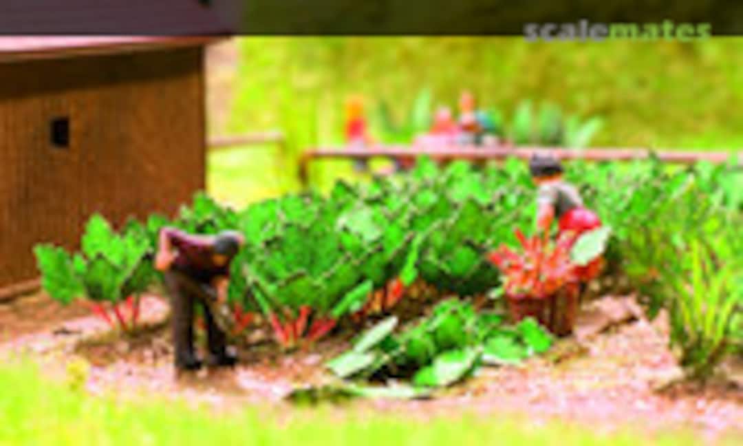 No Rhubarb (Noch 14108) 14108