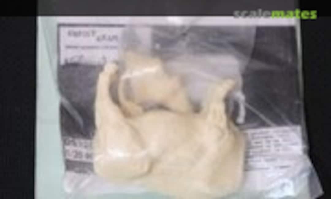 1:35 Water Buffalo (Grunt Gear DS224) DS224